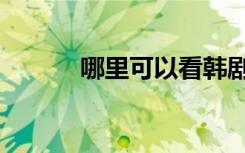哪里可以看韩剧（哪里可以看）