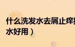 什么洗发水去屑止痒控油效果最好（什么洗发水好用）