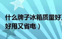 什么牌子冰箱质量好又省电（什么牌子的冰箱好用又省电）