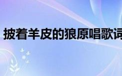 披着羊皮的狼原唱歌词（披着羊皮的狼原唱）