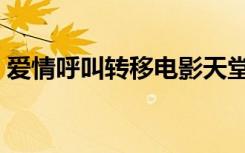 爱情呼叫转移电影天堂（爱情呼叫转移电影）