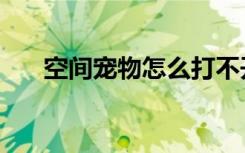 空间宠物怎么打不开（百度空间宠物）