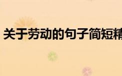 关于劳动的句子简短精辟（关于劳动的句子）