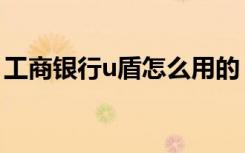工商银行u盾怎么用的（工商银行u盾怎么用）