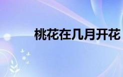桃花在几月开花（桃花几月开花）