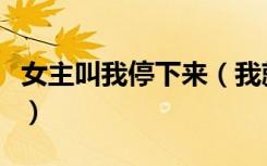 女主叫我停下来（我就是爱音乐别叫我停下来）