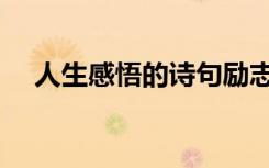人生感悟的诗句励志（人生感悟的诗句）