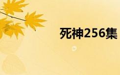 死神256集（死神250）