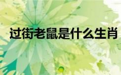 过街老鼠是什么生肖（胆小过街打一生肖）