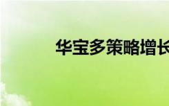 华宝多策略增长（华宝多策略）