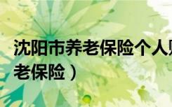 沈阳市养老保险个人账户查询官网（沈阳市养老保险）