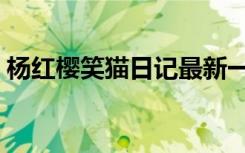 杨红樱笑猫日记最新一本（杨红樱笑猫日记）