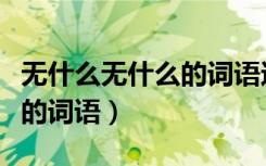 无什么无什么的词语还有什么（无什么无什么的词语）