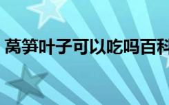 莴笋叶子可以吃吗百科（莴笋叶子可以吃吗）