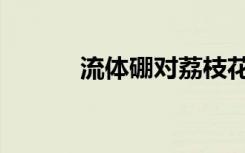 流体硼对荔枝花的作用（流体）
