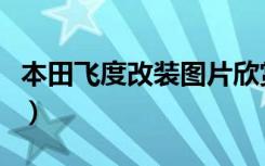 本田飞度改装图片欣赏（本田飞度改装价目表）