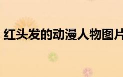 红头发的动漫人物图片（红头发的动漫人物）