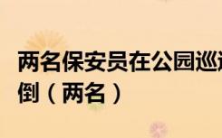 两名保安员在公园巡逻时发现一电线杆突然倾倒（两名）