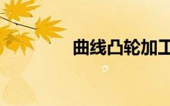 曲线凸轮加工（凸轮加工）