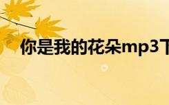 你是我的花朵mp3下载（你是我的花朵）