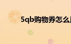 5qb购物券怎么用（5qb购物券）