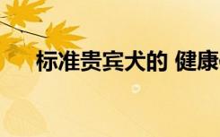 标准贵宾犬的 健康体重（标准贵宾犬）