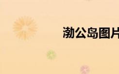 渤公岛图片（渤公岛）