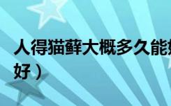 人得猫藓大概多久能好（人得猫藓一般多久会好）