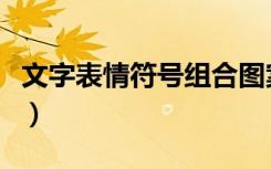 文字表情符号组合图案（简单好看的符号组合）