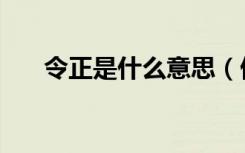 令正是什么意思（伟光正是什么意思）