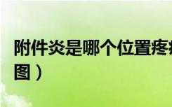 附件炎是哪个位置疼痛图解（附件炎疼痛位置图）