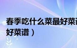 春季吃什么菜最好菜谱图片（春季吃什么菜最好菜谱）