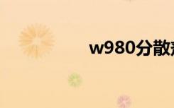 w980分散剂（w980）