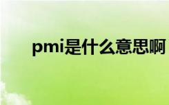 pmi是什么意思啊（pmi是什么意思）