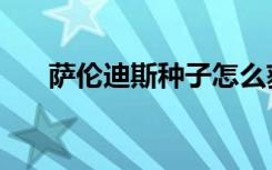 萨伦迪斯种子怎么获得（萨伦冰淇淋）