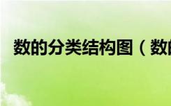 数的分类结构图（数的分类结构图六年级）