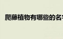 爬藤植物有哪些的名字（爬藤植物有哪些）