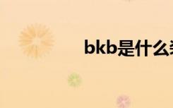 bkb是什么装备（bkb）