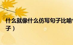 什么就像什么仿写句子比喻句二年级（什么就像什么仿写句子）