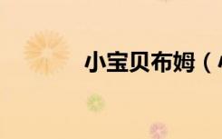小宝贝布姆（小宝贝谁唱的）