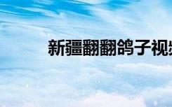 新疆翻翻鸽子视频（新疆翻翻鸽）