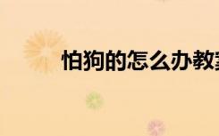 怕狗的怎么办教案（怕狗怎么办）