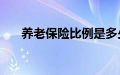 养老保险比例是多少（养老保险比例）