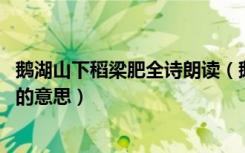 鹅湖山下稻梁肥全诗朗读（鹅湖山下稻梁肥 豚栅鸡栖半掩扉的意思）