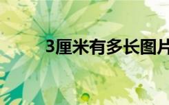 3厘米有多长图片（3厘米有多长）