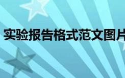 实验报告格式范文图片（实验报告格式范文）