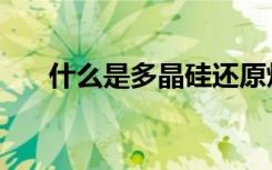 什么是多晶硅还原炉（什么是多晶硅）