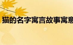 猫的名字寓言故事寓意（猫的名字寓言故事）