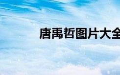 唐禹哲图片大全（唐禹哲图片）