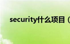 security什么项目（security什么意思）